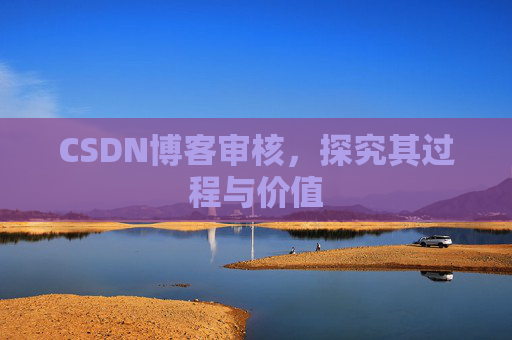 CSDN博客审核，探究其过程与价值